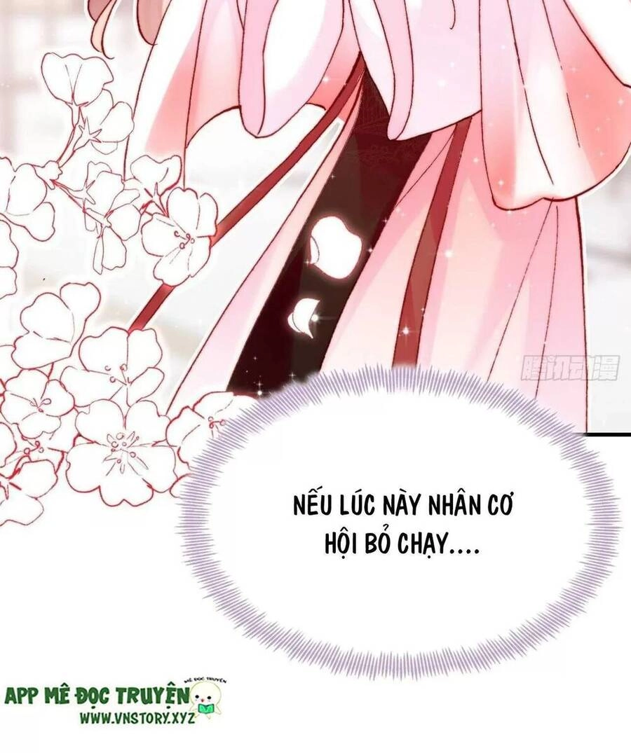 Lại Bị Bệnh Chiều Chuộng Quấn Lấy Chapter 40 - 69