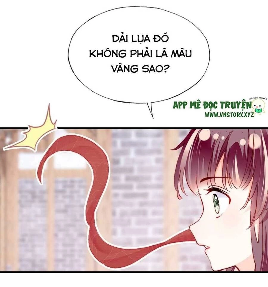 Lại Bị Bệnh Chiều Chuộng Quấn Lấy Chapter 41 - 7