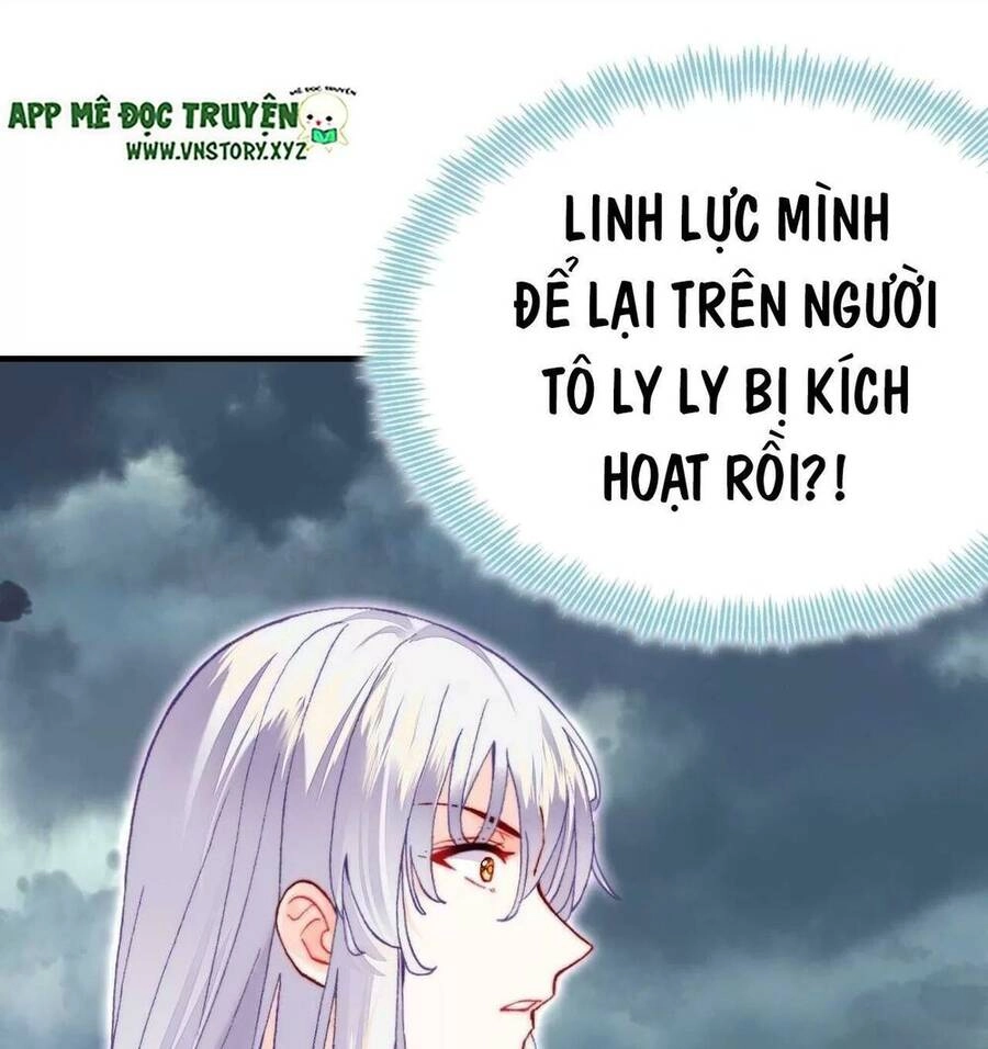Lại Bị Bệnh Chiều Chuộng Quấn Lấy Chapter 45 - 72