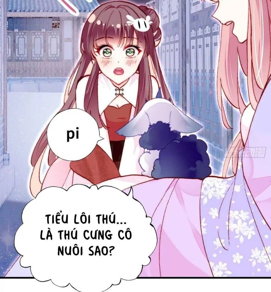 Lại Bị Bệnh Chiều Chuộng Quấn Lấy Chapter 46 - 41