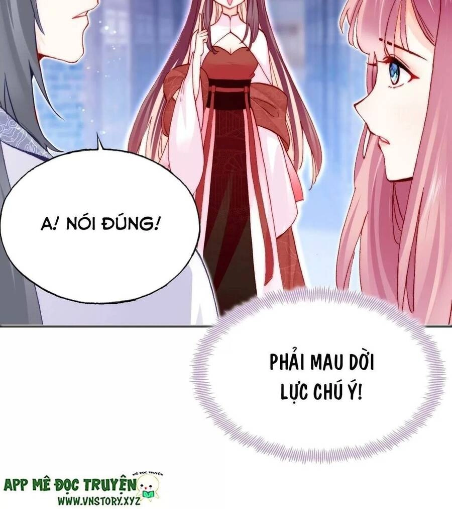 Lại Bị Bệnh Chiều Chuộng Quấn Lấy Chapter 47 - 41