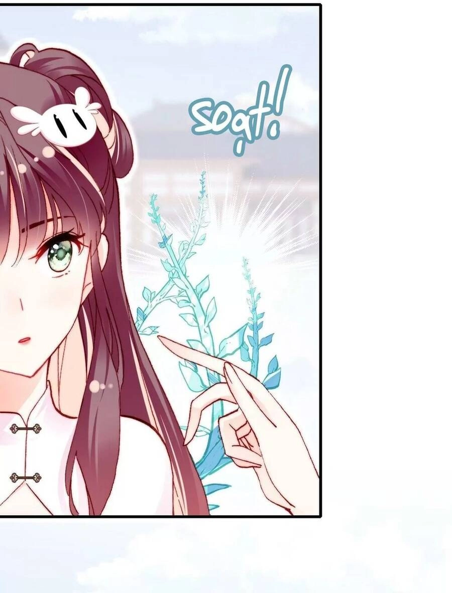 Lại Bị Bệnh Chiều Chuộng Quấn Lấy Chapter 50 - 58