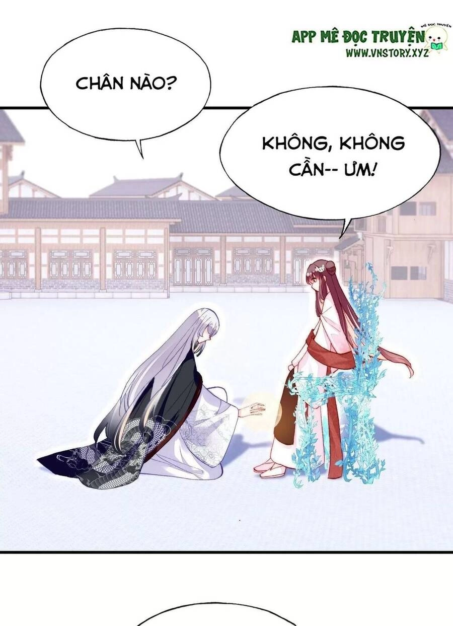 Lại Bị Bệnh Chiều Chuộng Quấn Lấy Chapter 50 - 61