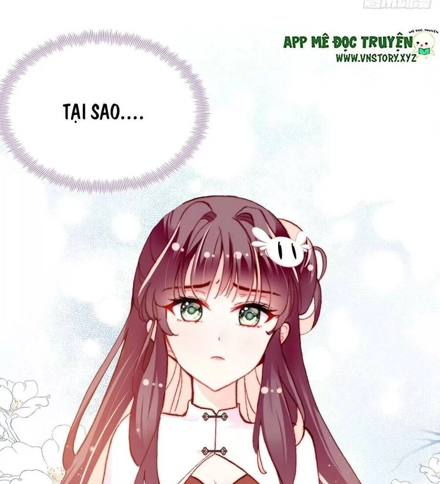 Lại Bị Bệnh Chiều Chuộng Quấn Lấy Chapter 50 - 65