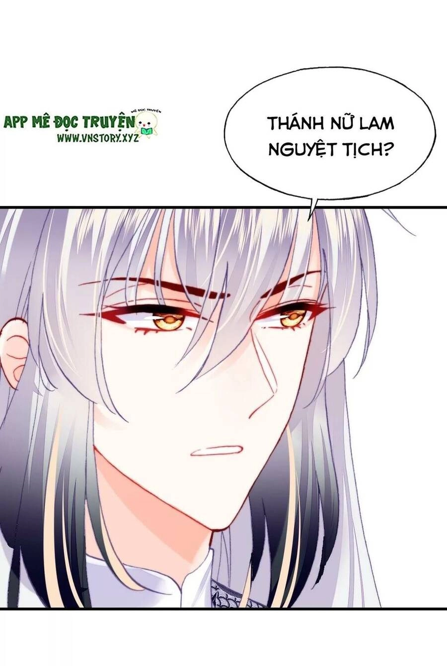 Lại Bị Bệnh Chiều Chuộng Quấn Lấy Chapter 50 - 79