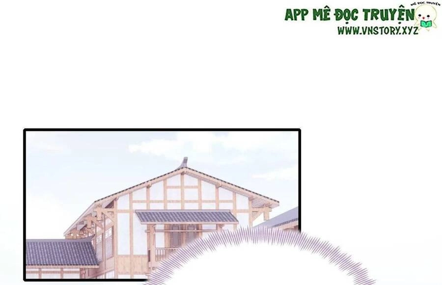 Lại Bị Bệnh Chiều Chuộng Quấn Lấy Chapter 51 - 6