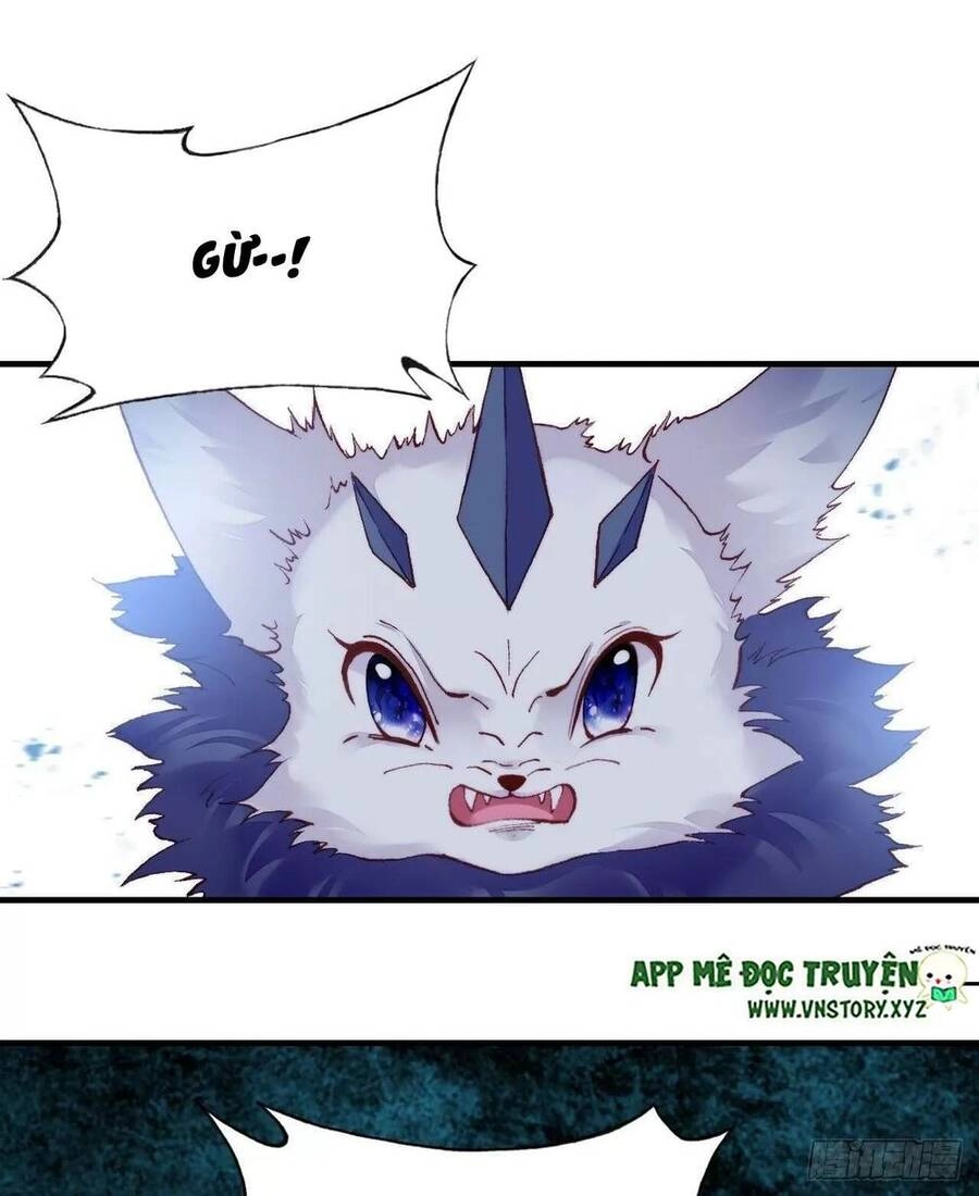 Lại Bị Bệnh Chiều Chuộng Quấn Lấy Chapter 51 - 23