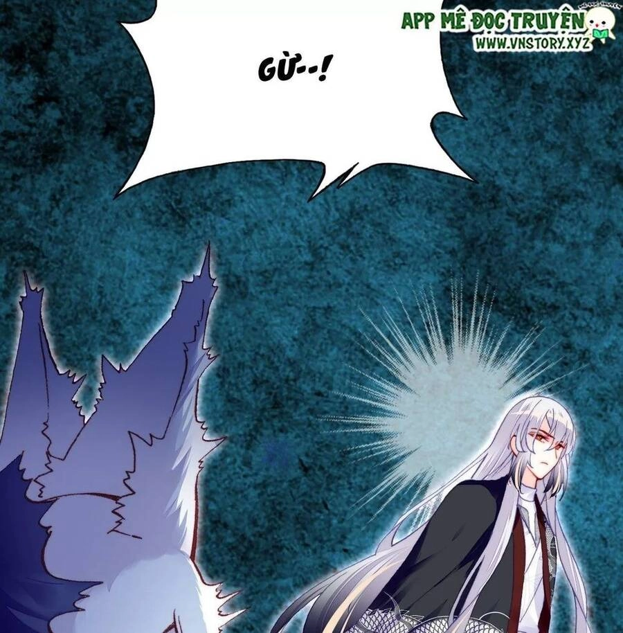 Lại Bị Bệnh Chiều Chuộng Quấn Lấy Chapter 51 - 24