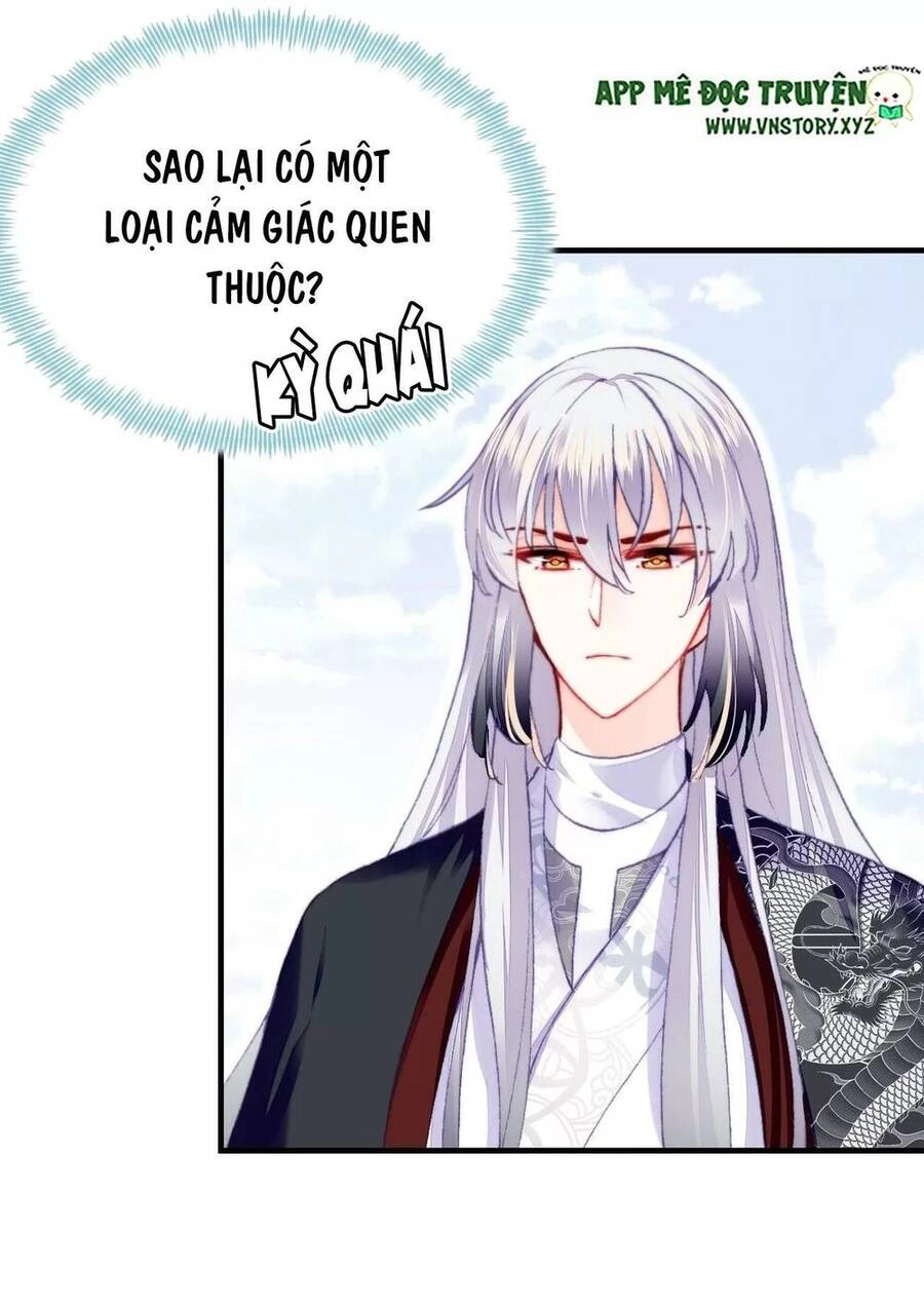 Lại Bị Bệnh Chiều Chuộng Quấn Lấy Chapter 51 - 27