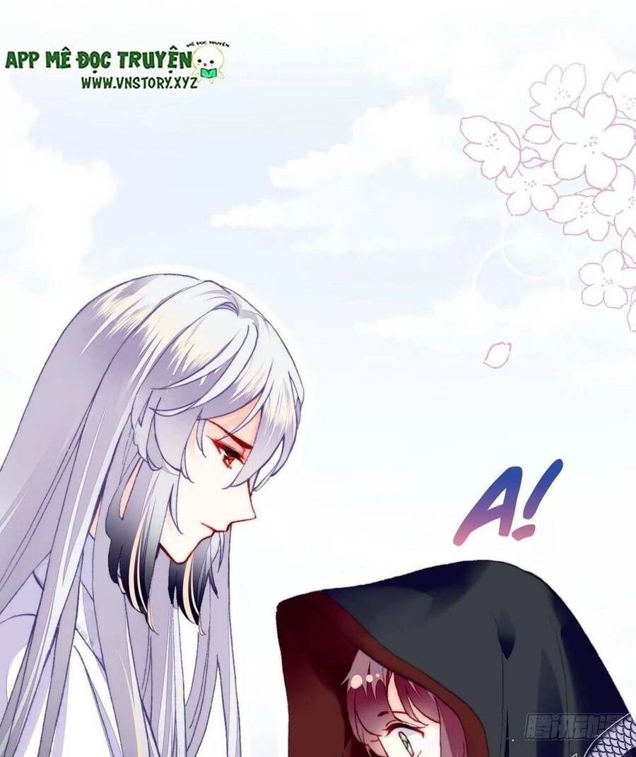 Lại Bị Bệnh Chiều Chuộng Quấn Lấy Chapter 51 - 32