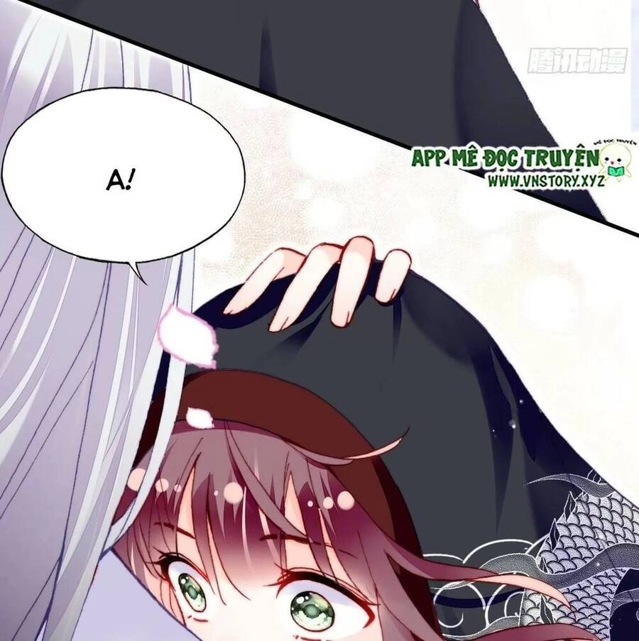 Lại Bị Bệnh Chiều Chuộng Quấn Lấy Chapter 51 - 34