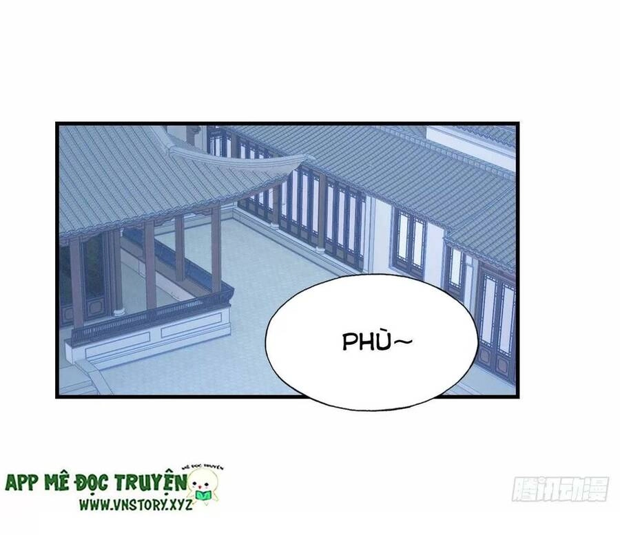 Lại Bị Bệnh Chiều Chuộng Quấn Lấy Chapter 52 - 11