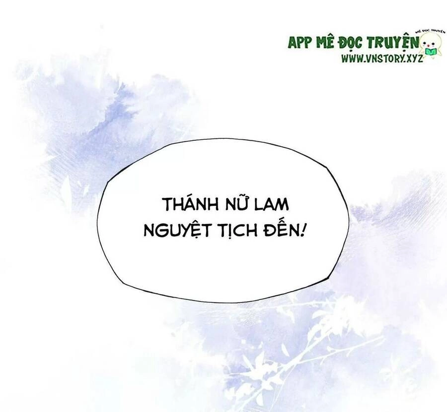 Lại Bị Bệnh Chiều Chuộng Quấn Lấy Chapter 54 - 47