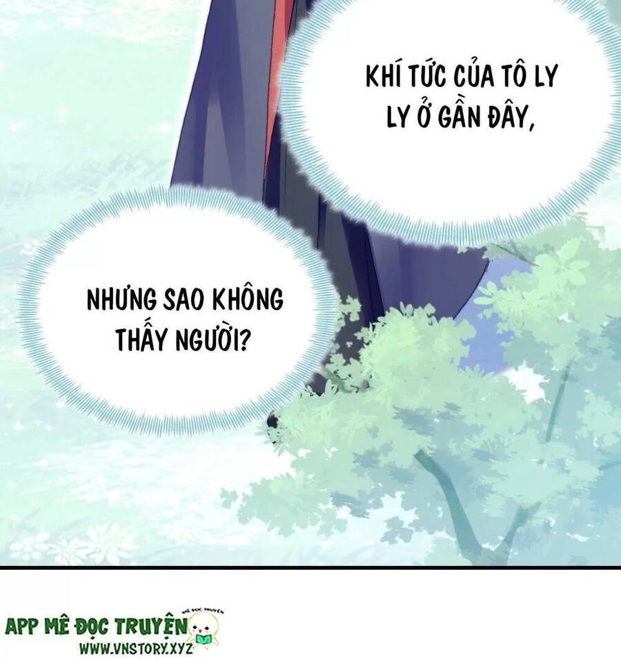 Lại Bị Bệnh Chiều Chuộng Quấn Lấy Chapter 55 - 24