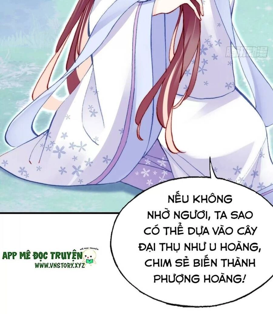 Lại Bị Bệnh Chiều Chuộng Quấn Lấy Chapter 57 - 55