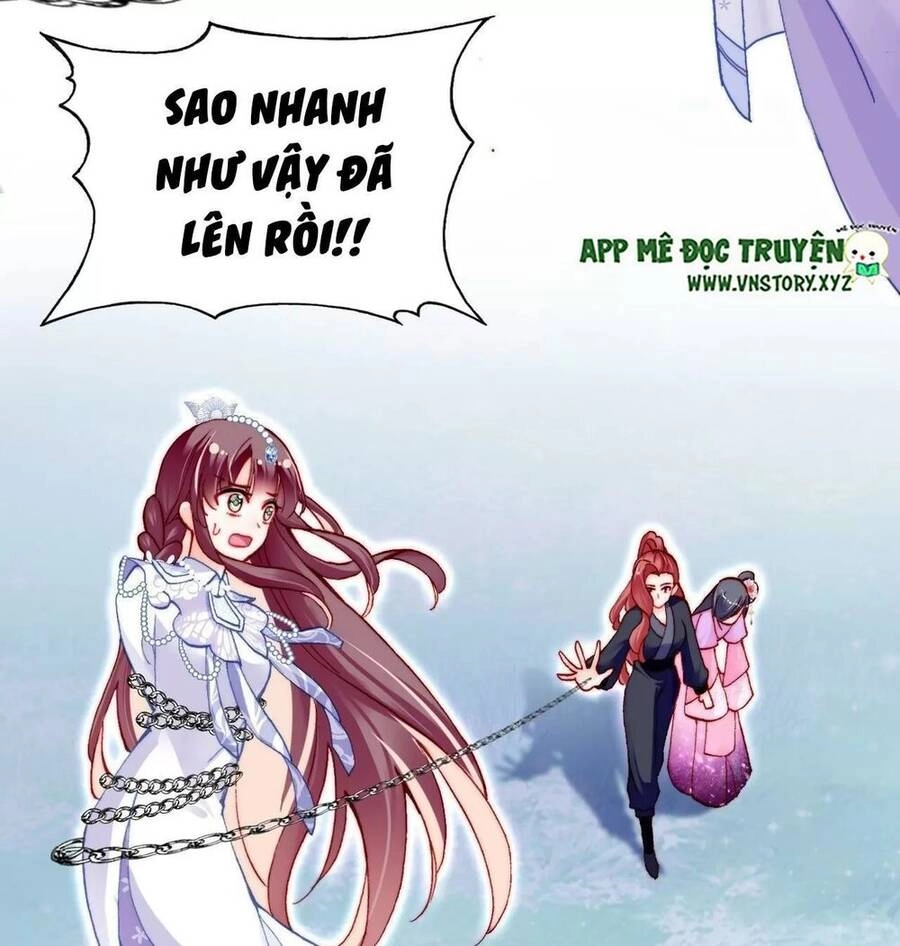 Lại Bị Bệnh Chiều Chuộng Quấn Lấy Chapter 58 - 36