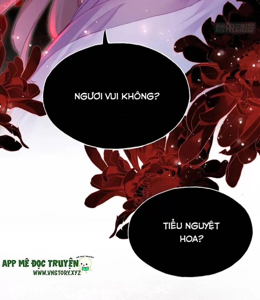 Lại Bị Bệnh Chiều Chuộng Quấn Lấy Chapter 59 - 79