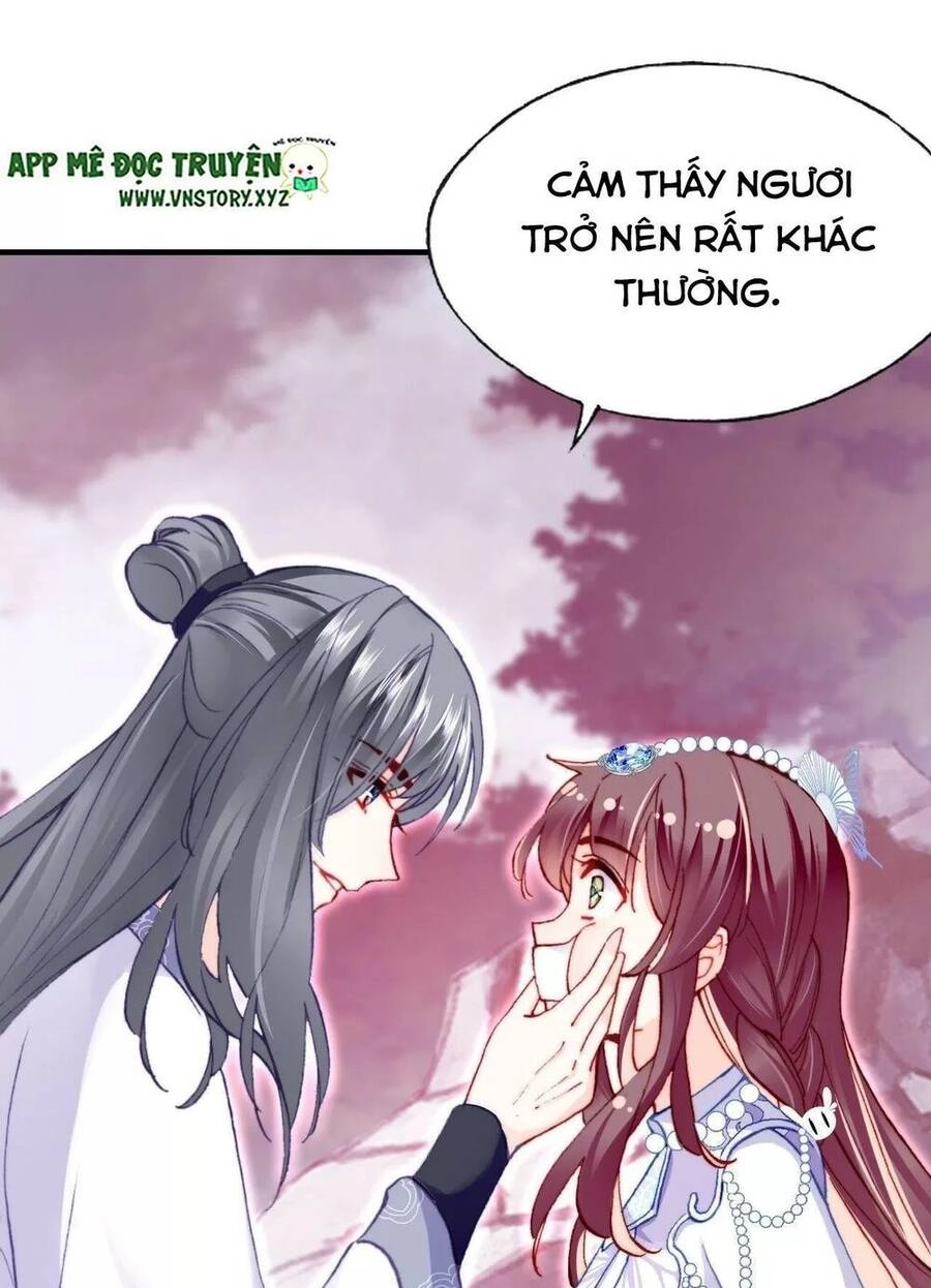 Lại Bị Bệnh Chiều Chuộng Quấn Lấy Chapter 60 - 12
