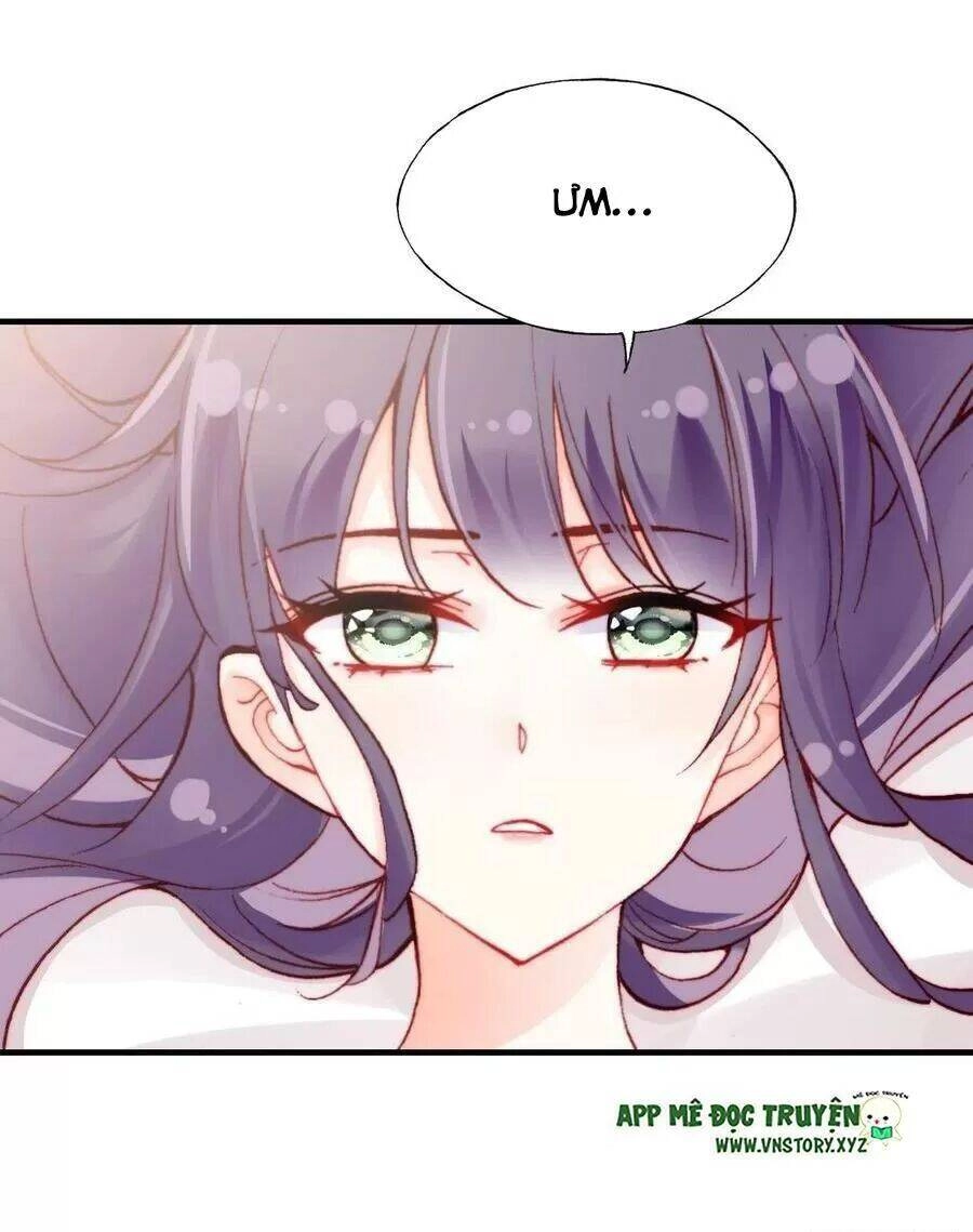 Lại Bị Bệnh Chiều Chuộng Quấn Lấy Chapter 61 - 16