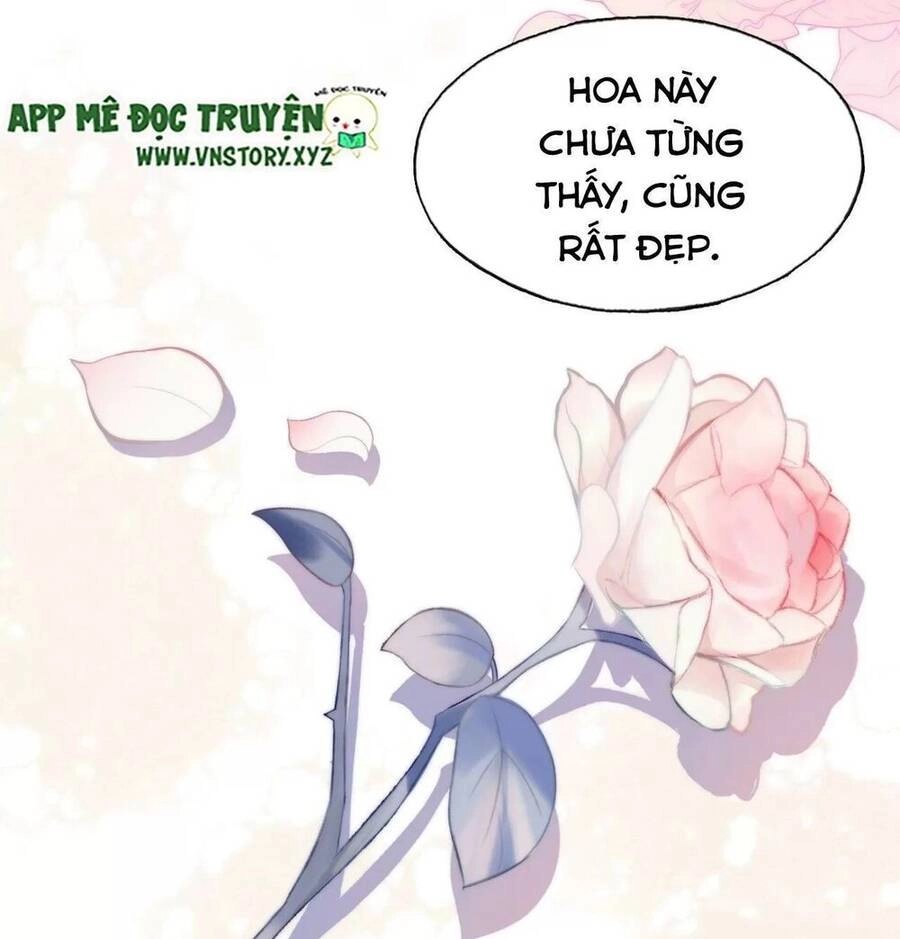 Lại Bị Bệnh Chiều Chuộng Quấn Lấy Chapter 63 - 66