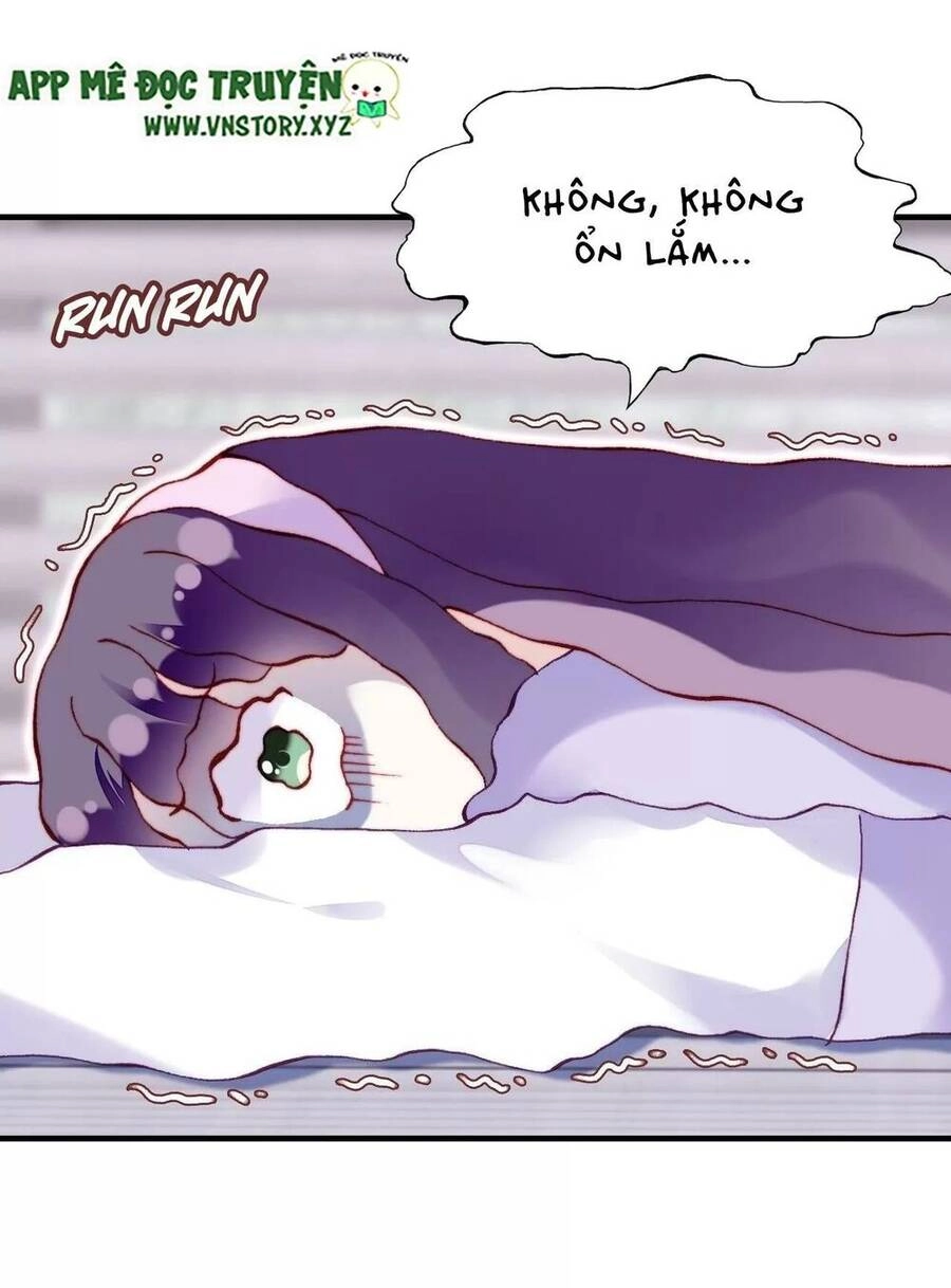 Lại Bị Bệnh Chiều Chuộng Quấn Lấy Chapter 63 - 82