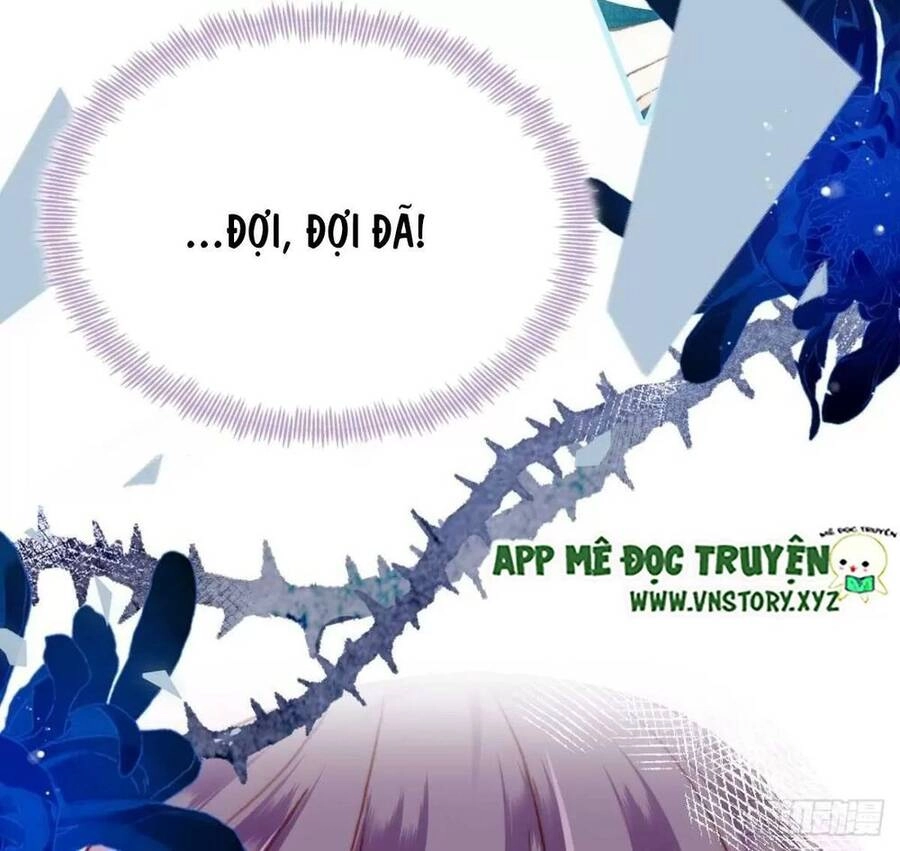 Lại Bị Bệnh Chiều Chuộng Quấn Lấy Chapter 64 - 23