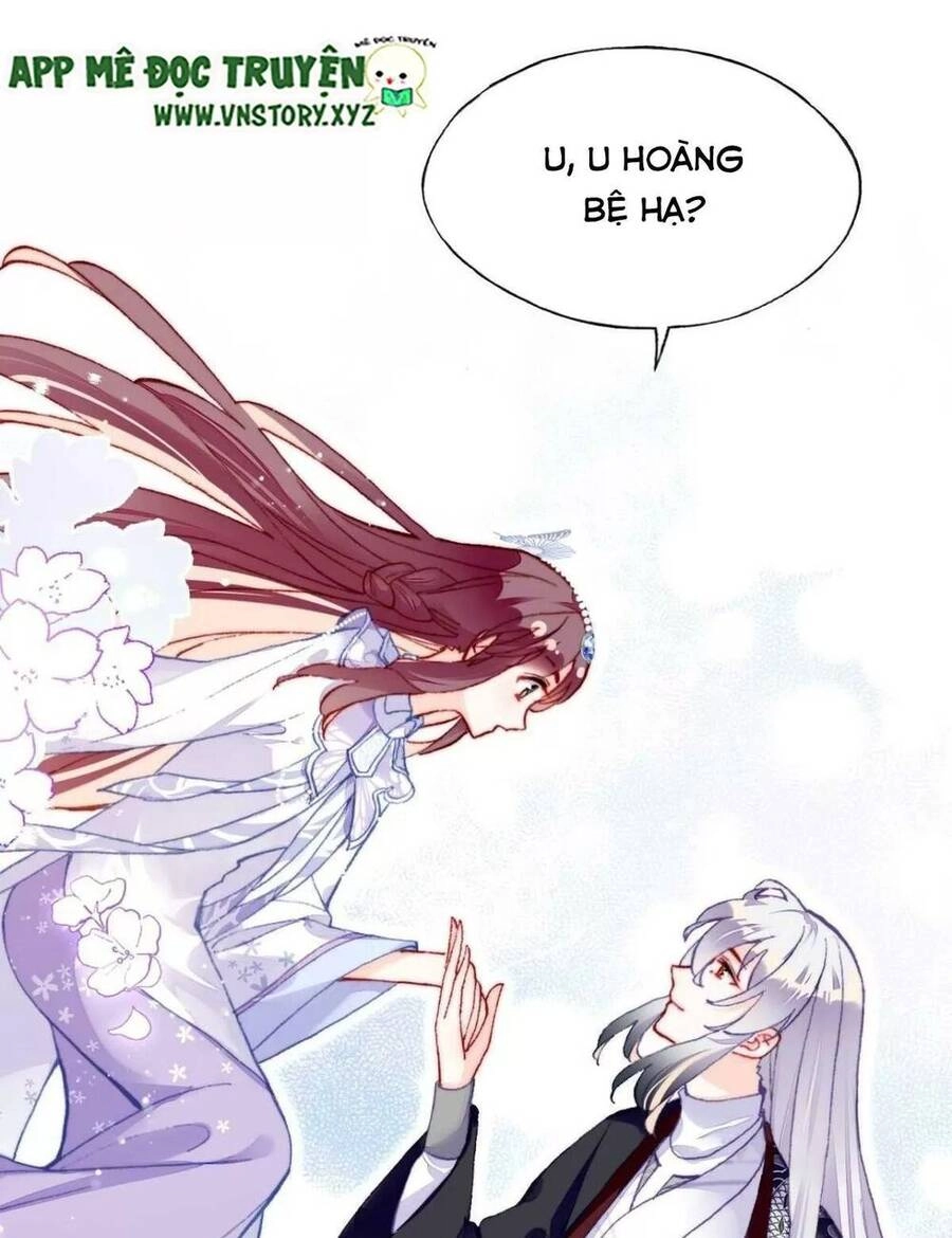 Lại Bị Bệnh Chiều Chuộng Quấn Lấy Chapter 64 - 82