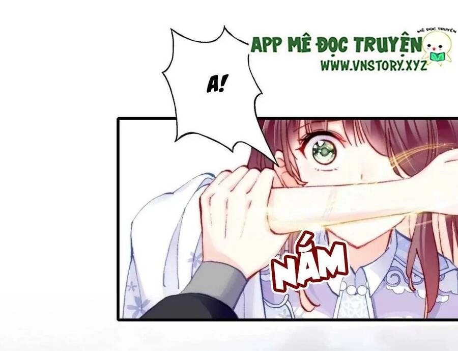 Lại Bị Bệnh Chiều Chuộng Quấn Lấy Chapter 65 - 12