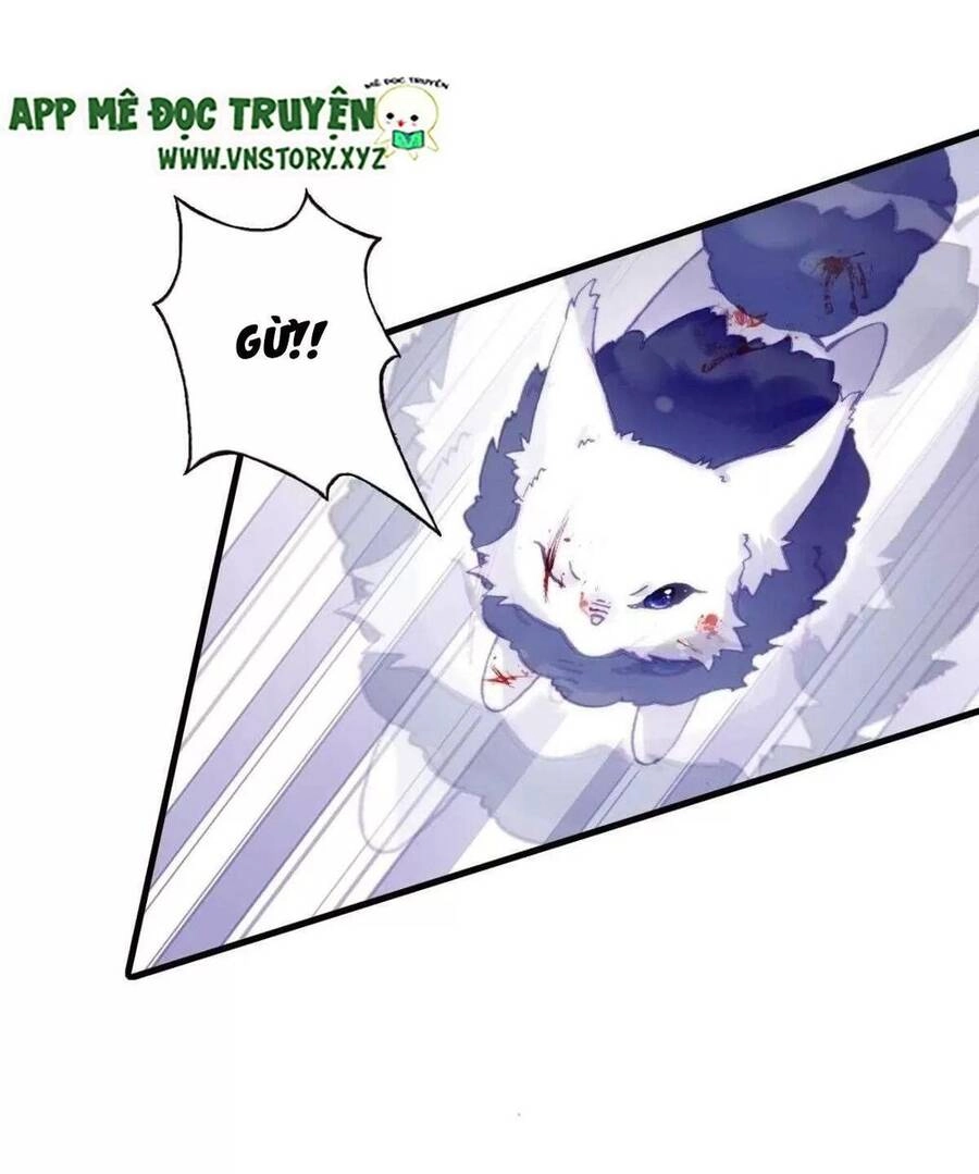 Lại Bị Bệnh Chiều Chuộng Quấn Lấy Chapter 65 - 54