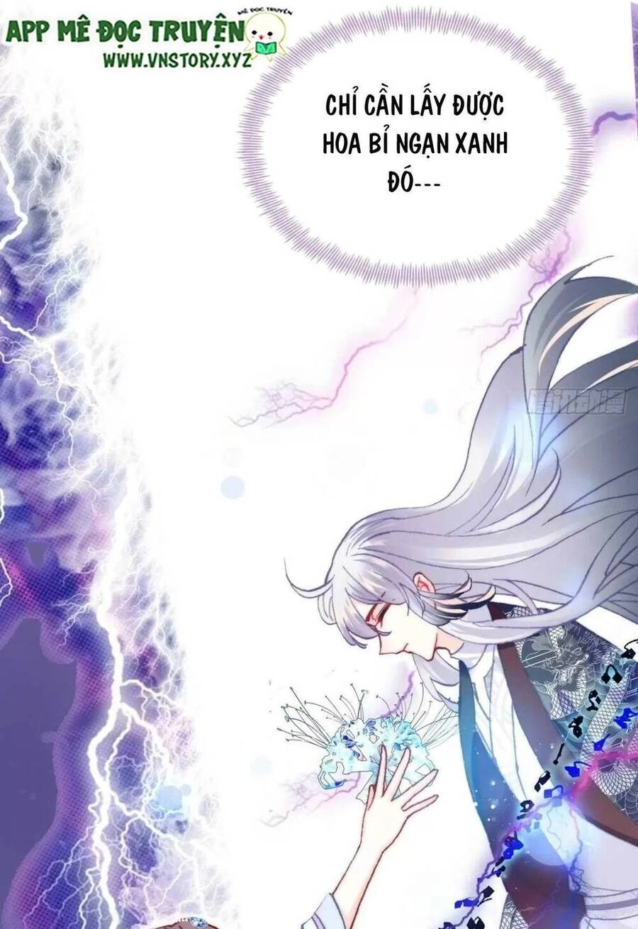 Lại Bị Bệnh Chiều Chuộng Quấn Lấy Chapter 65 - 70