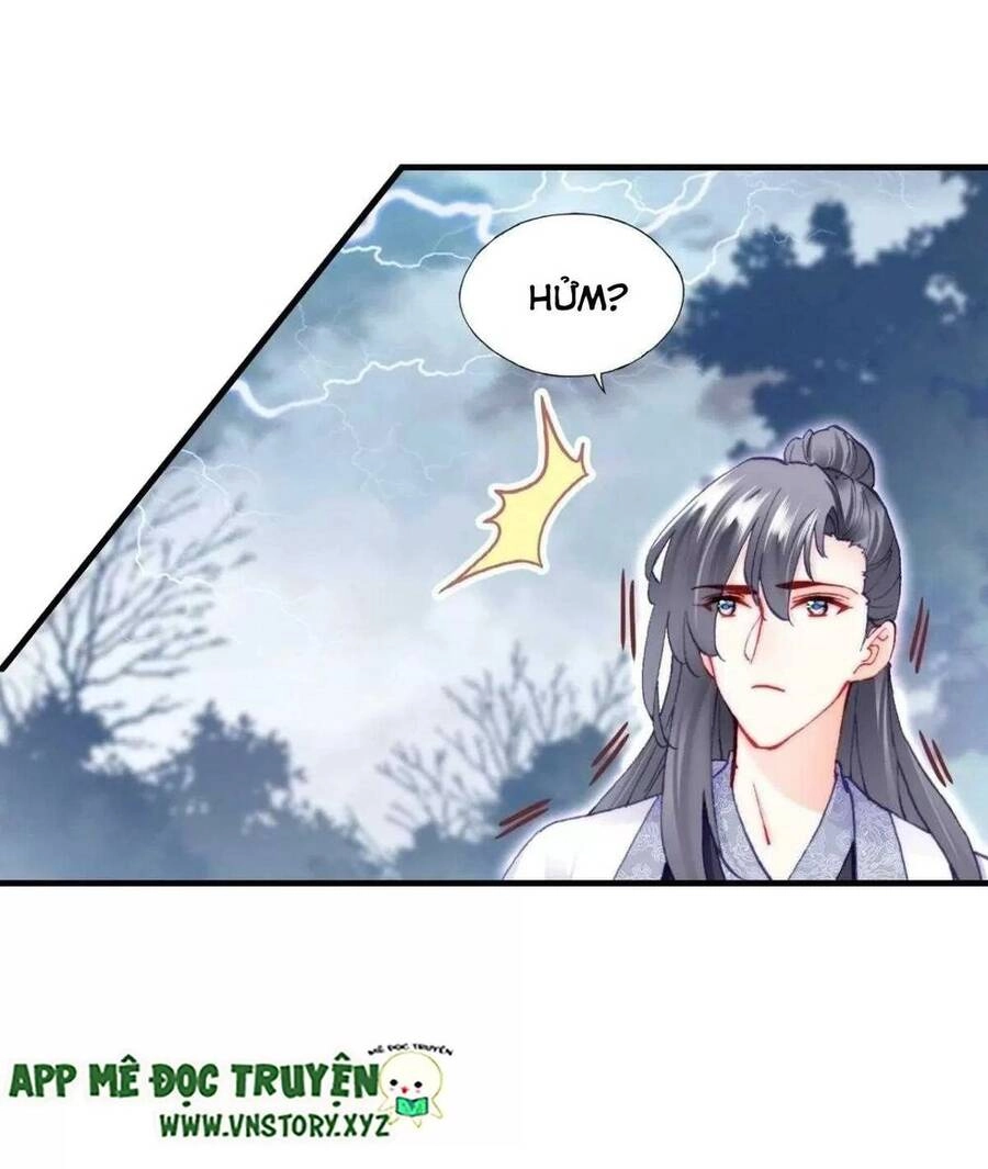 Lại Bị Bệnh Chiều Chuộng Quấn Lấy Chapter 65 - 81