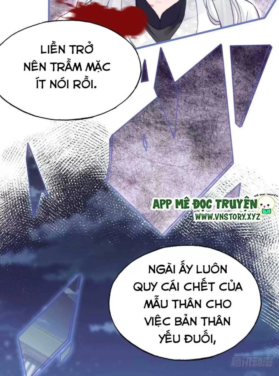 Lại Bị Bệnh Chiều Chuộng Quấn Lấy Chapter 66 - 24