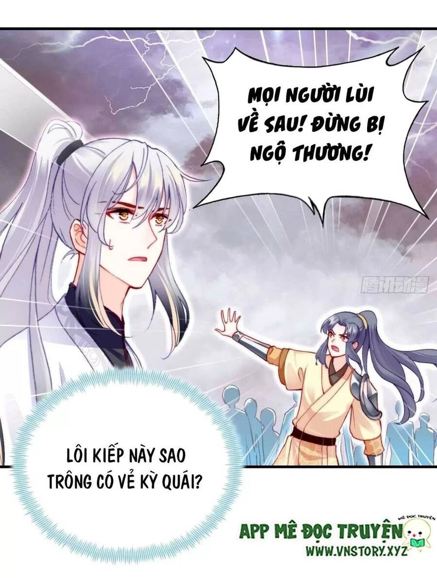 Lại Bị Bệnh Chiều Chuộng Quấn Lấy Chapter 66 - 71
