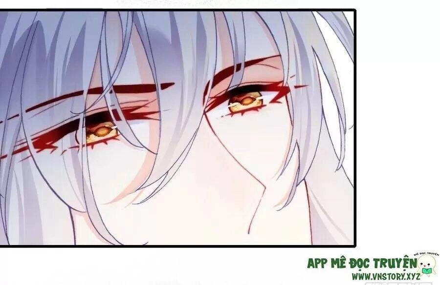 Lại Bị Bệnh Chiều Chuộng Quấn Lấy Chapter 68 - 8