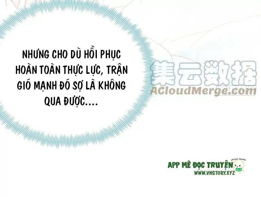 Lại Bị Bệnh Chiều Chuộng Quấn Lấy Chapter 70 - 14