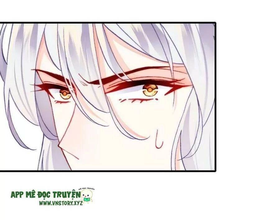 Lại Bị Bệnh Chiều Chuộng Quấn Lấy Chapter 70 - 52