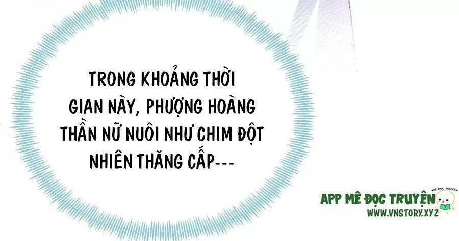 Lại Bị Bệnh Chiều Chuộng Quấn Lấy Chapter 71 - 8