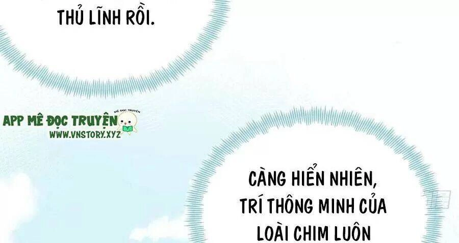 Lại Bị Bệnh Chiều Chuộng Quấn Lấy Chapter 71 - 13