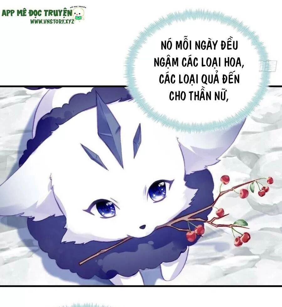 Lại Bị Bệnh Chiều Chuộng Quấn Lấy Chapter 71 - 18