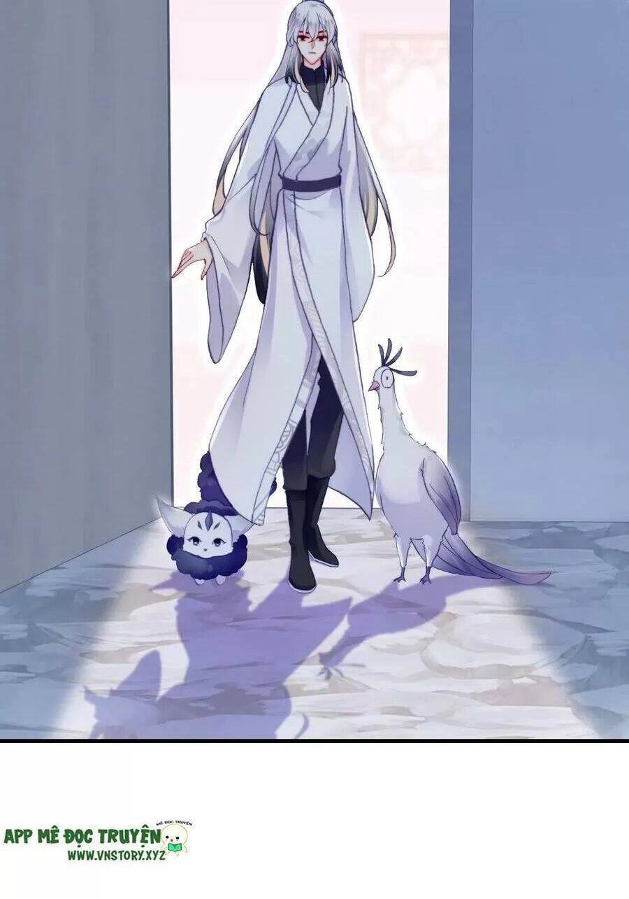 Lại Bị Bệnh Chiều Chuộng Quấn Lấy Chapter 71 - 59