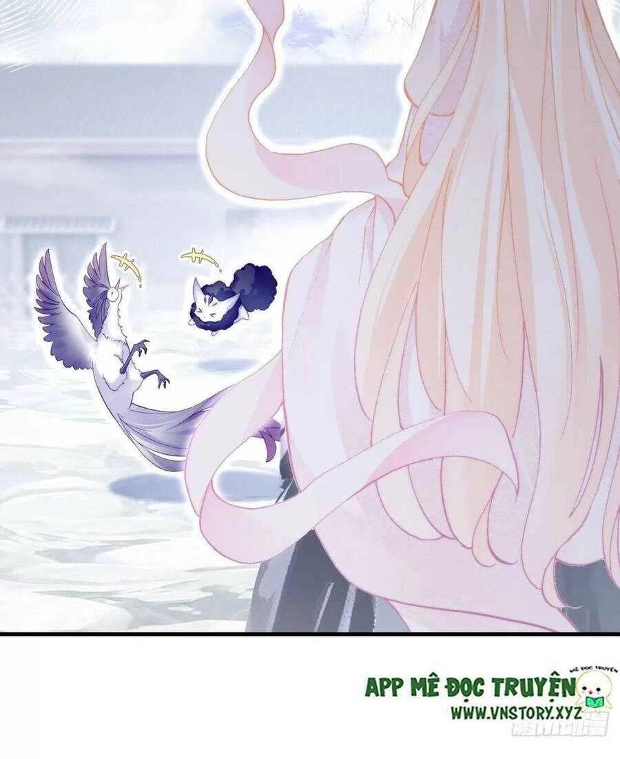 Lại Bị Bệnh Chiều Chuộng Quấn Lấy Chapter 72 - 31