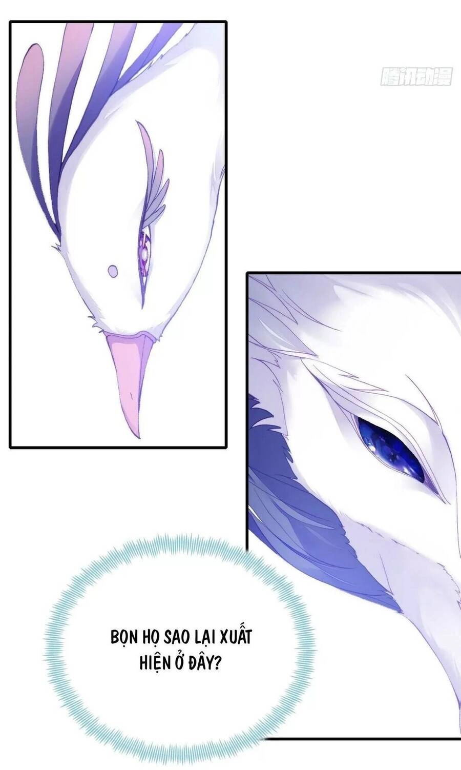 Lại Bị Bệnh Chiều Chuộng Quấn Lấy Chapter 72 - 61