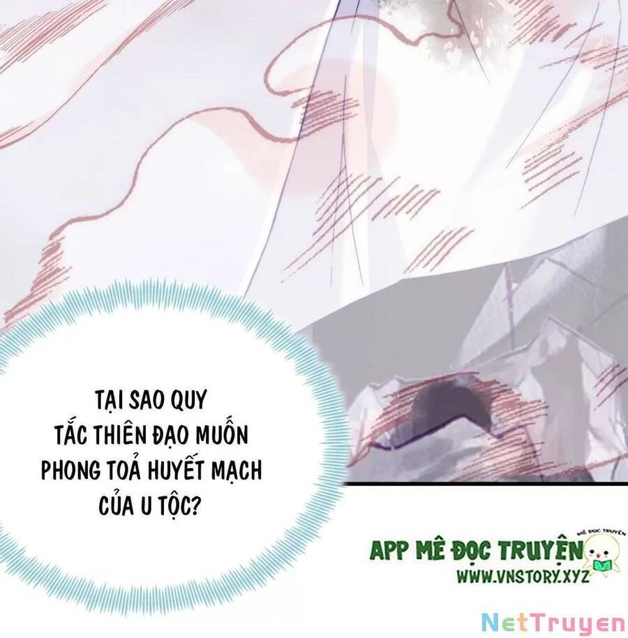 Lại Bị Bệnh Chiều Chuộng Quấn Lấy Chapter 73 - 32