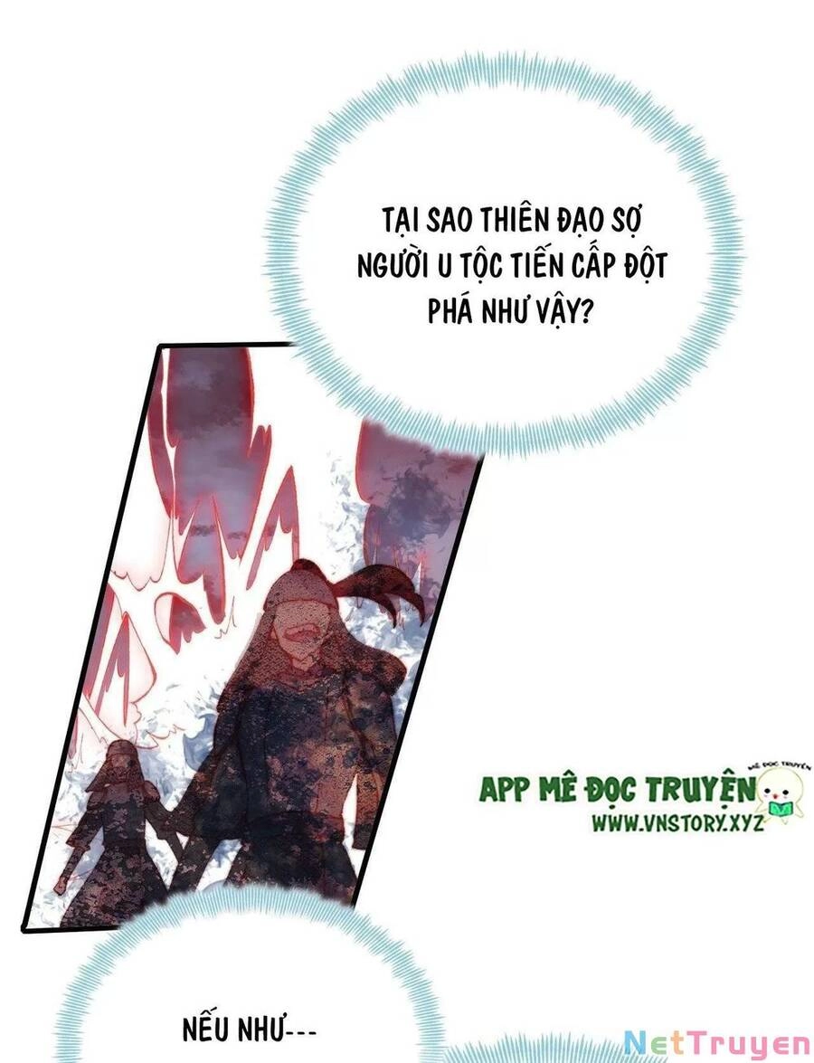 Lại Bị Bệnh Chiều Chuộng Quấn Lấy Chapter 73 - 34