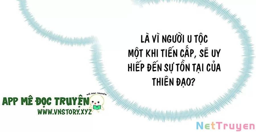 Lại Bị Bệnh Chiều Chuộng Quấn Lấy Chapter 73 - 35