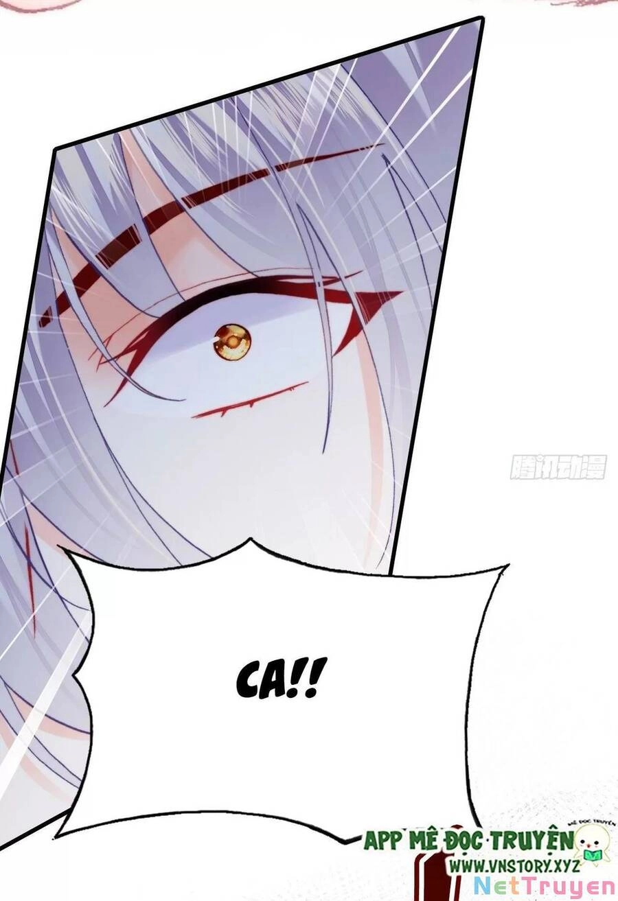 Lại Bị Bệnh Chiều Chuộng Quấn Lấy Chapter 73 - 77