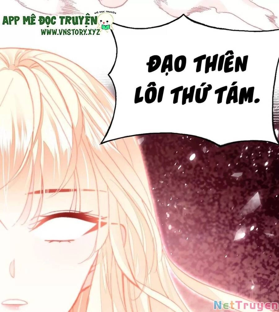 Lại Bị Bệnh Chiều Chuộng Quấn Lấy Chapter 73 - 82