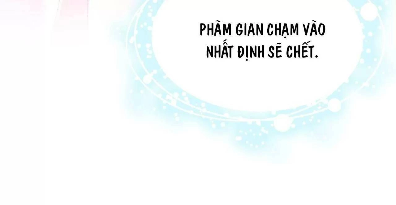 Lại Bị Bệnh Chiều Chuộng Quấn Lấy Chapter 74 - 34