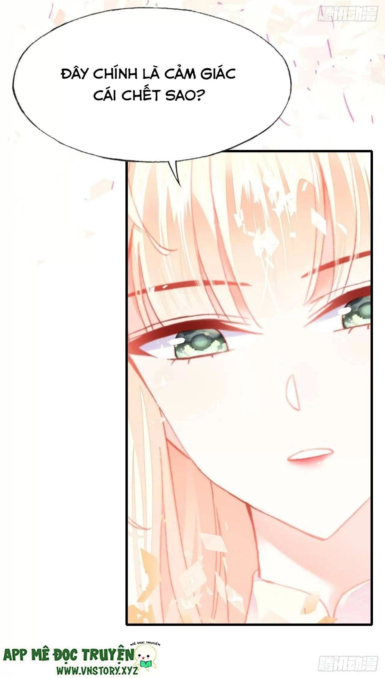 Lại Bị Bệnh Chiều Chuộng Quấn Lấy Chapter 75 - 24