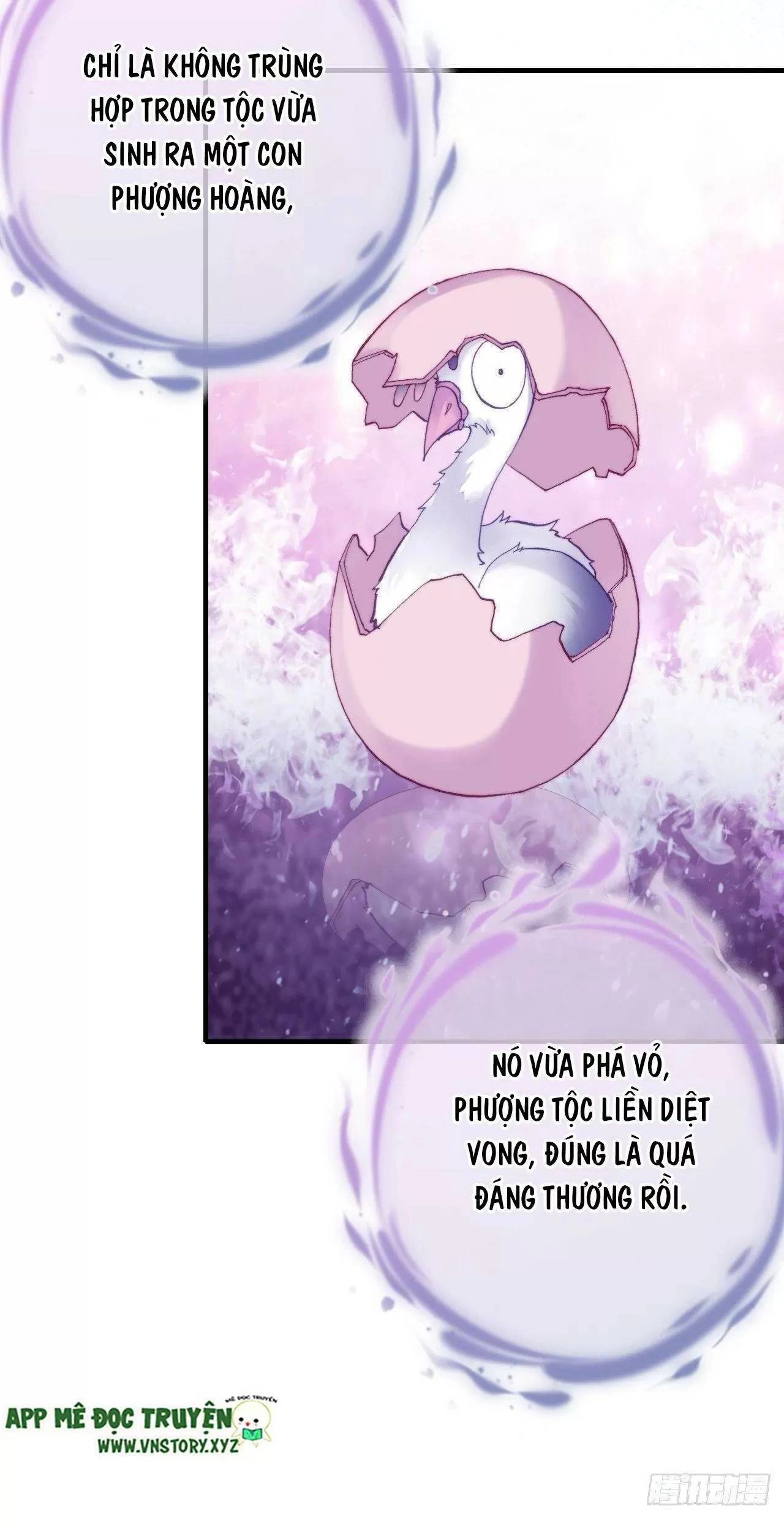 Lại Bị Bệnh Chiều Chuộng Quấn Lấy Chapter 76 - 70